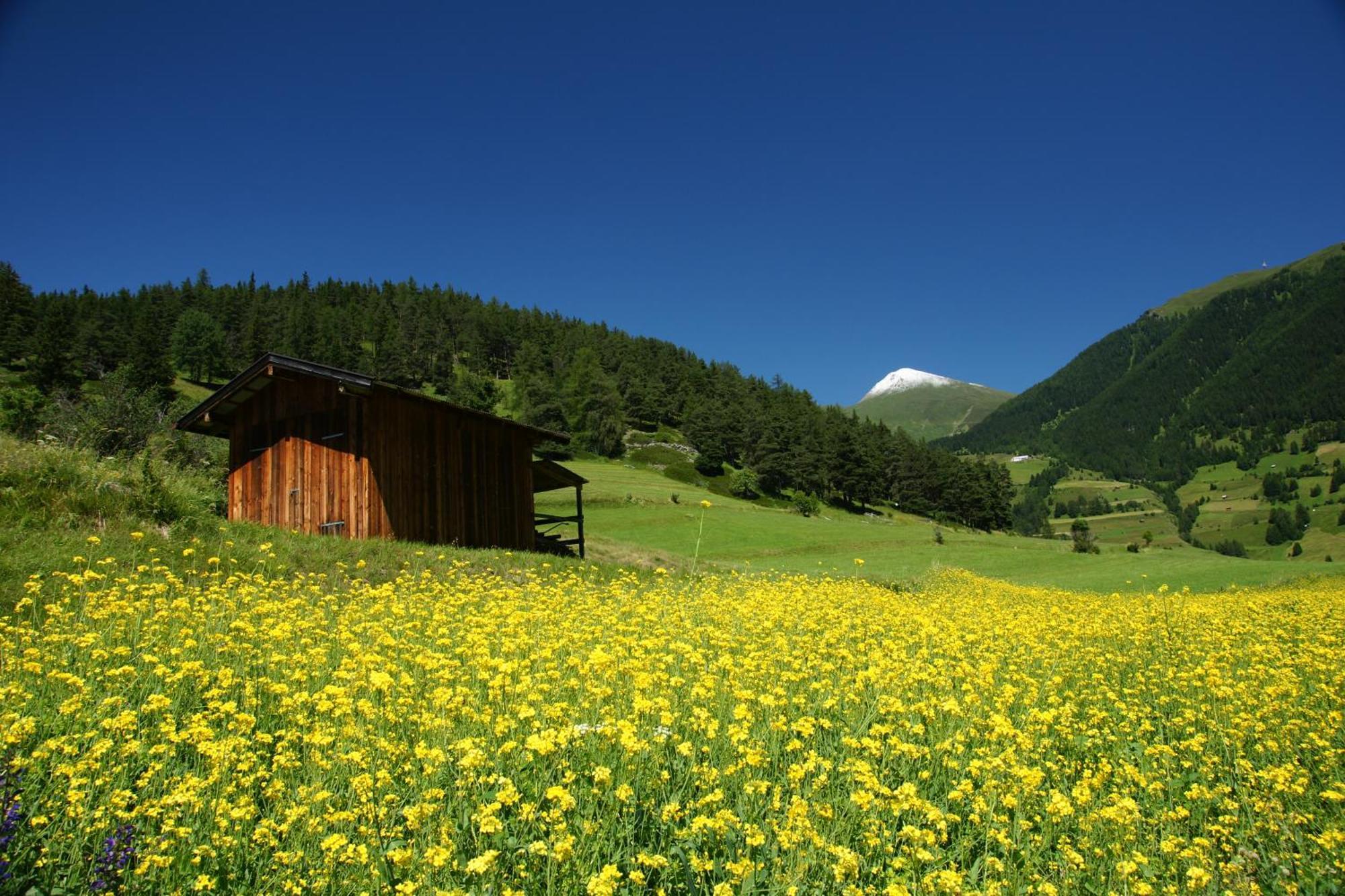 Alpengasthof Norbertshoehe Superior Nauders Exterior foto