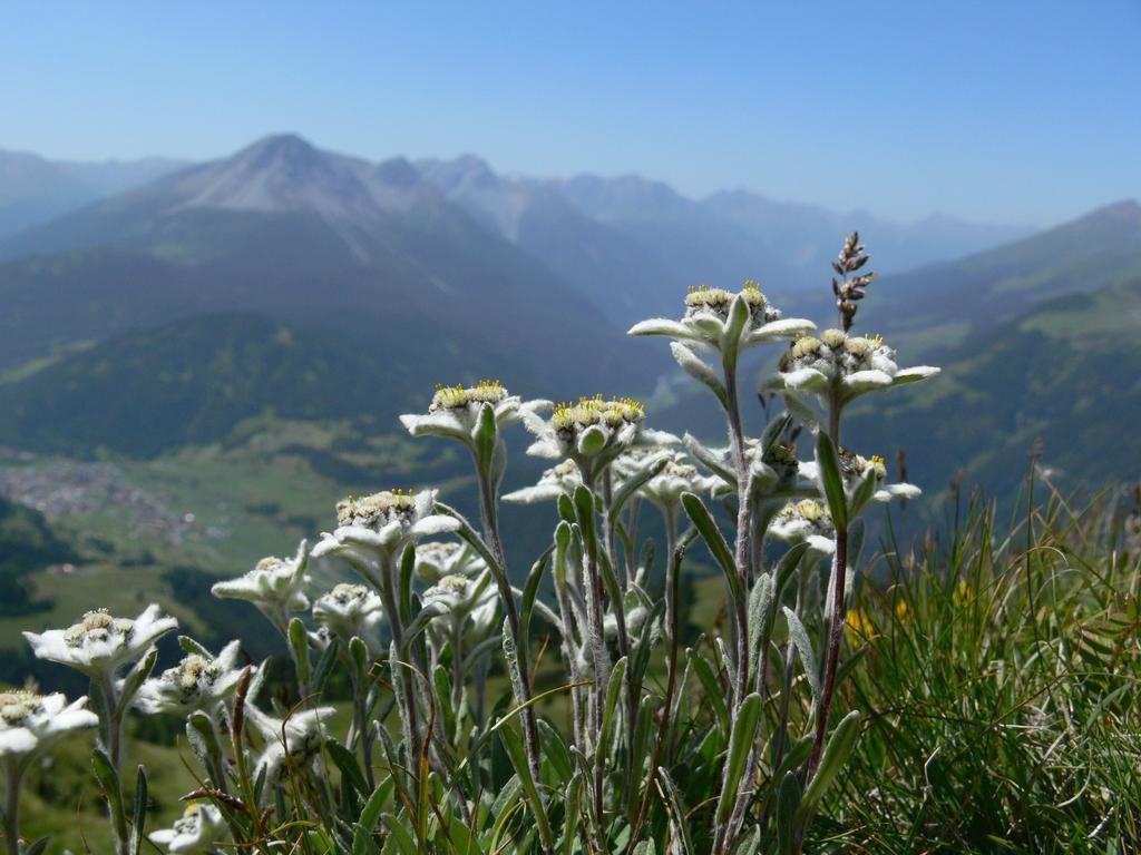 Alpengasthof Norbertshoehe Superior Nauders Exterior foto